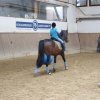 Ponyralley 138